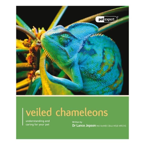 Pet Expert - Veiled Chameleons