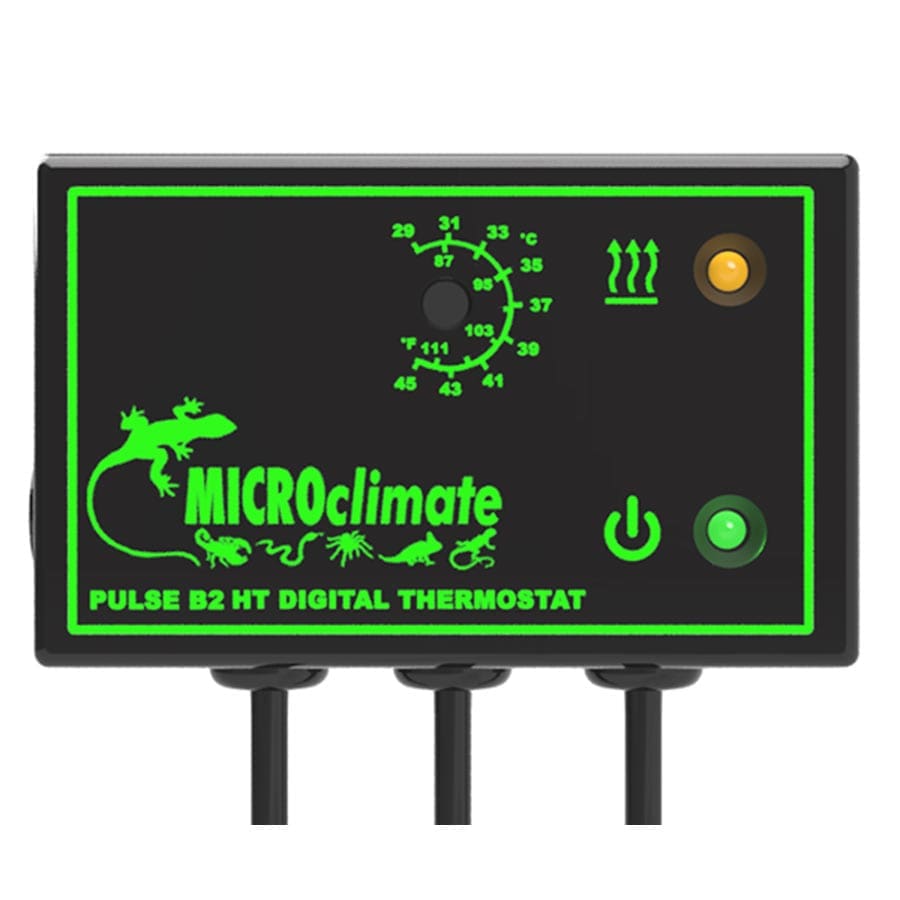 Microclimate B2 HT Pulse