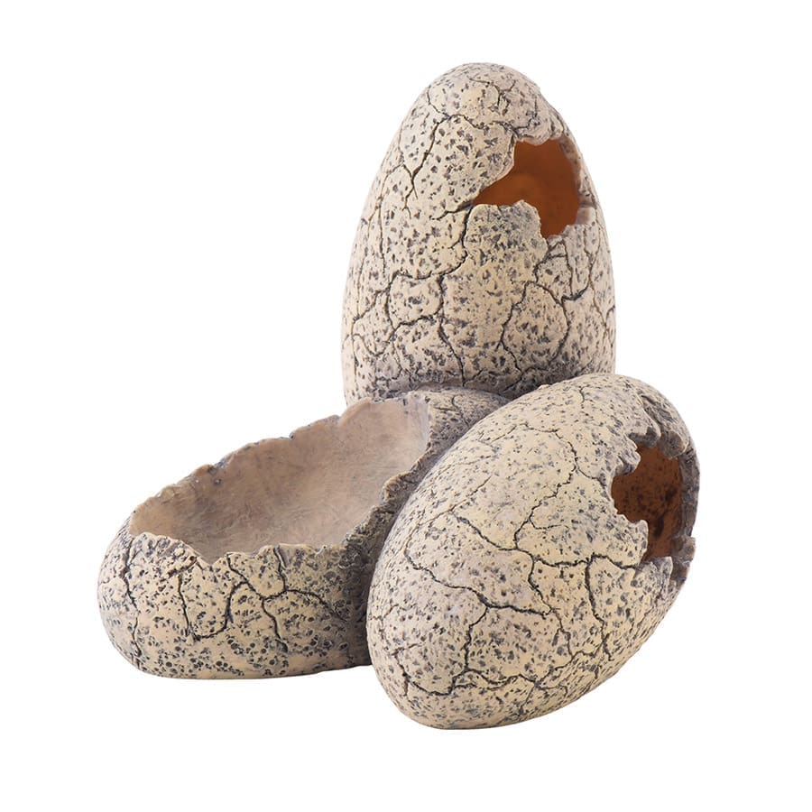 Exo Terra Dinosaur Egg Hide + Dish