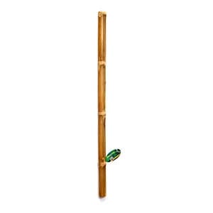 Lucky Reptile Bamboo Stick Ï 5cm x1m