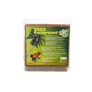 Lucky Reptile Coco Background 30 cm