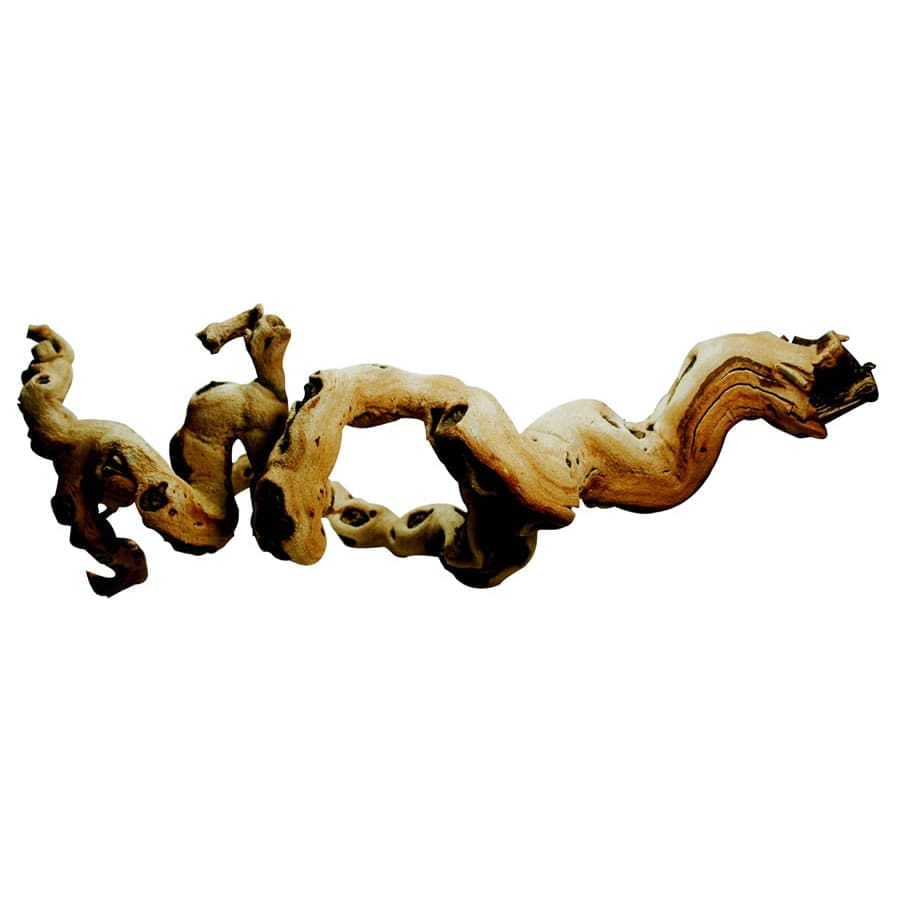 Lucky Reptile Premium Grapevine Medium
