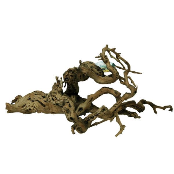 Lucky Reptile Premium Grapevine X-Large