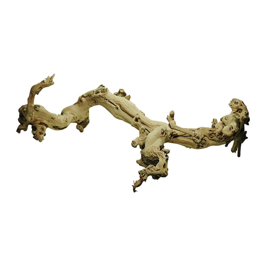 Lucky Reptile Sand-blasted Grapevine X-Large