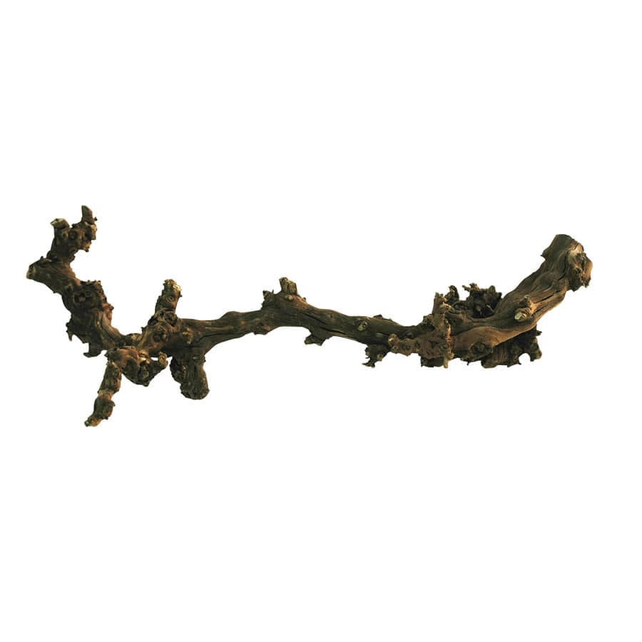Lucky Reptile Dark Grapevine X-Large