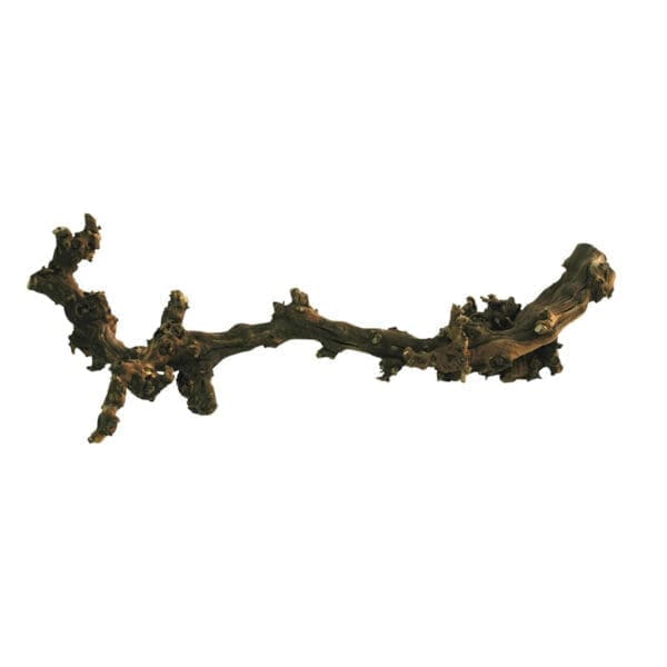 Lucky Reptile Dark Grapevine Medium