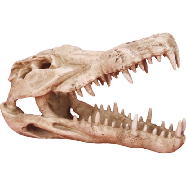 Vivarium Ornaments