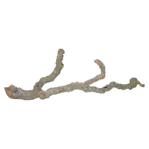 Lucky Reptile Tronchos Branches 90-120cm