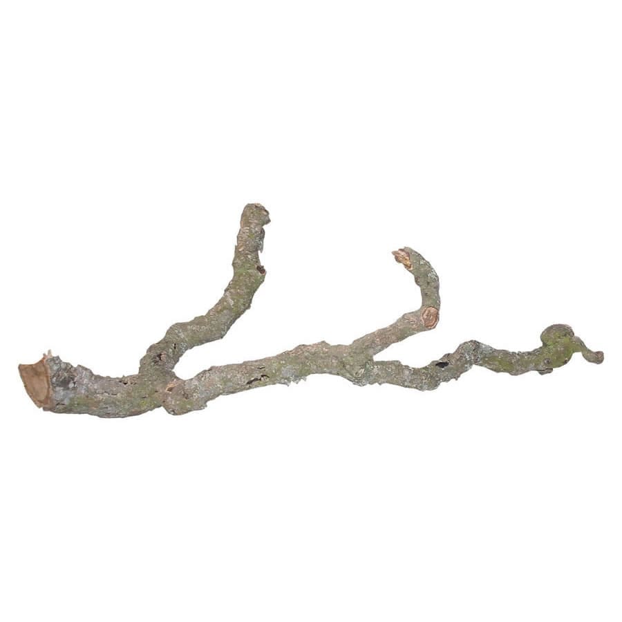 Lucky Reptile Tronchos Branches 60-90cm
