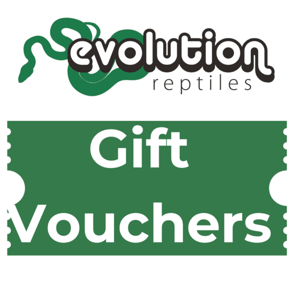 Gift Vouchers