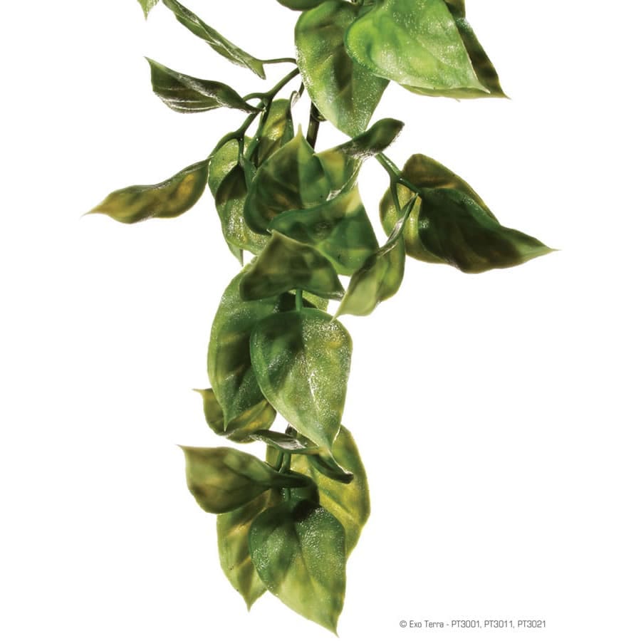 Exo Terra Plastic Plant Amapallo Medium
