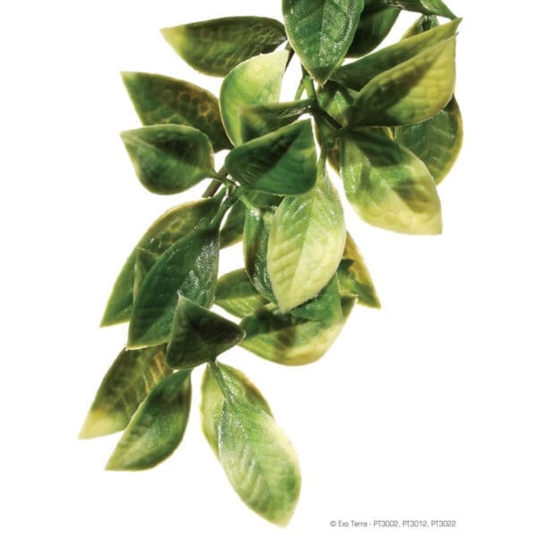 Exo Terra Plastic Plant Mandarin Medium