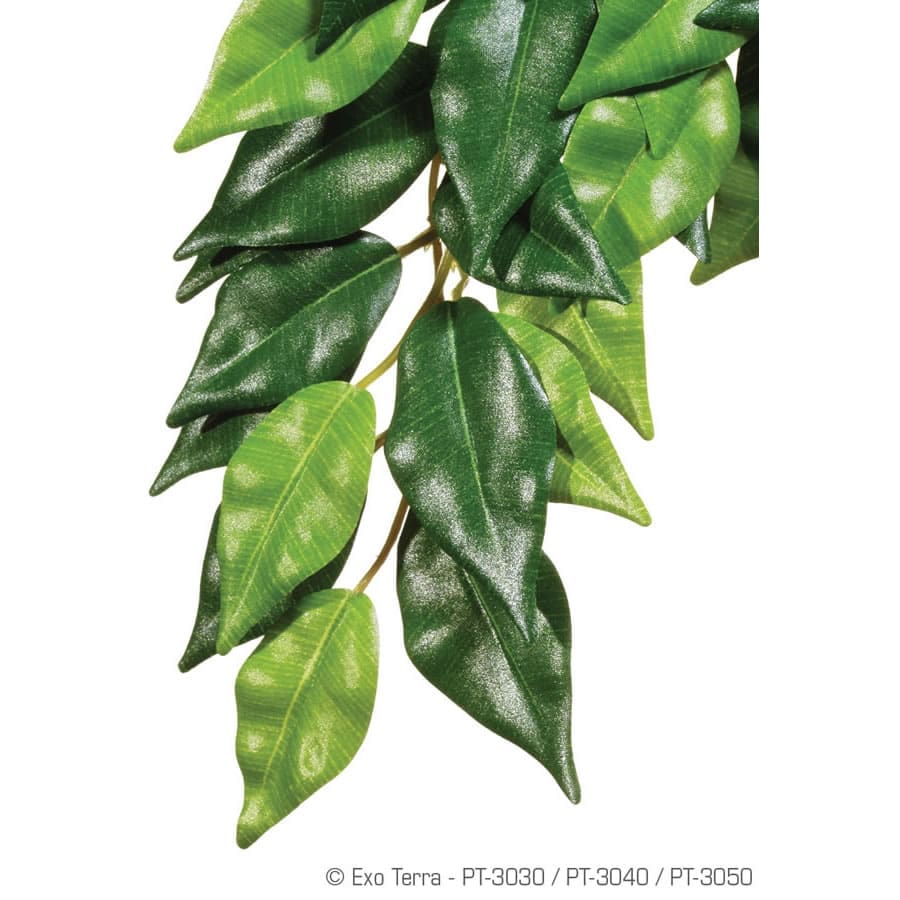 Exo Terra Silk Plant Ficus Large