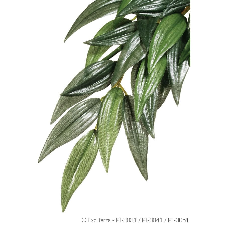 Exo Terra Silk Plant Ruscus Medium