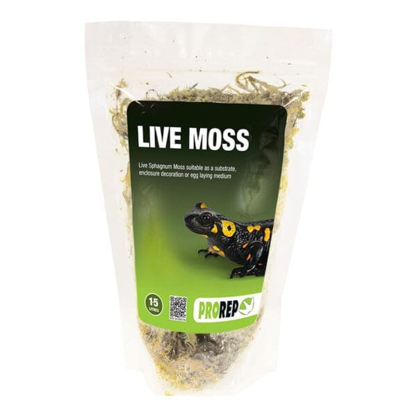 Moss and Bark
