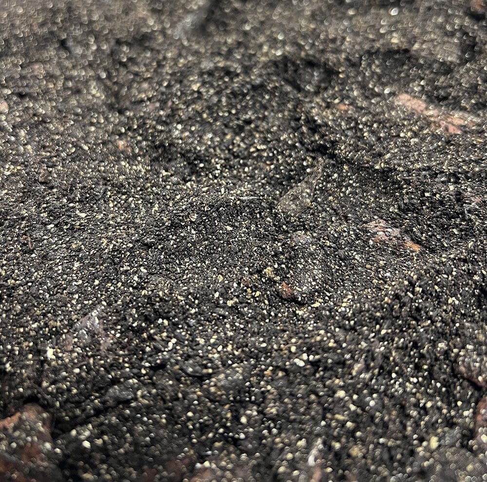 ProRep Spider Life Substrate - Image 3