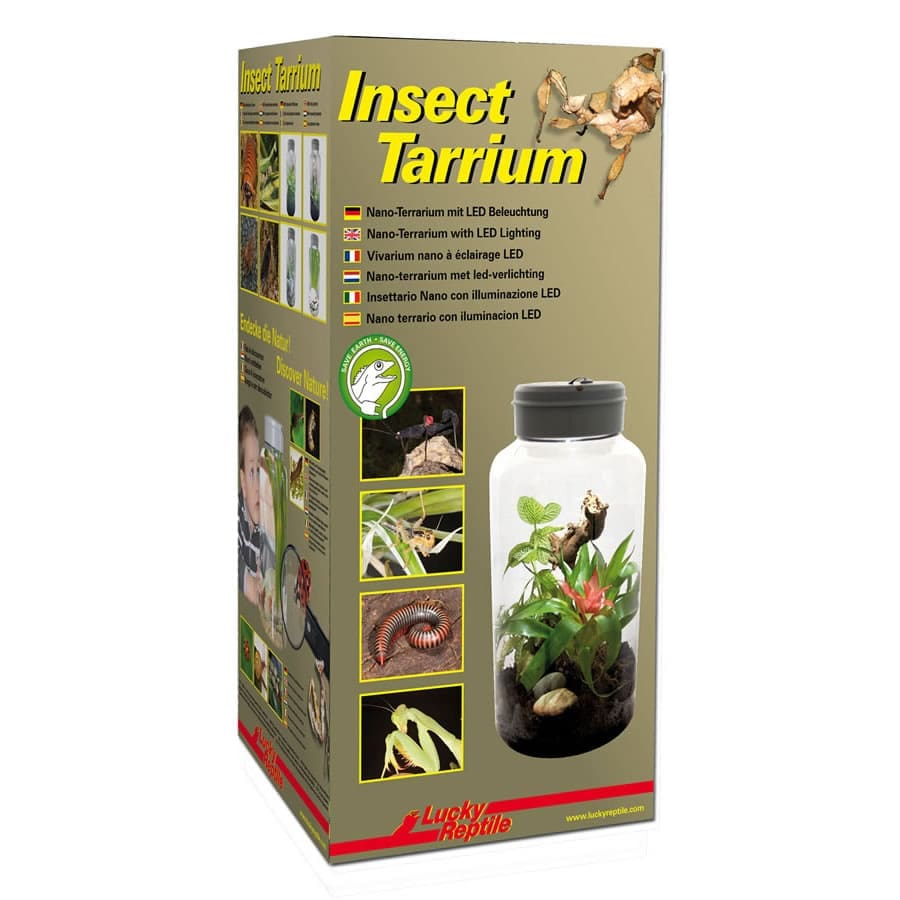 Lucky Reptile InsectTarrium 5 Litre