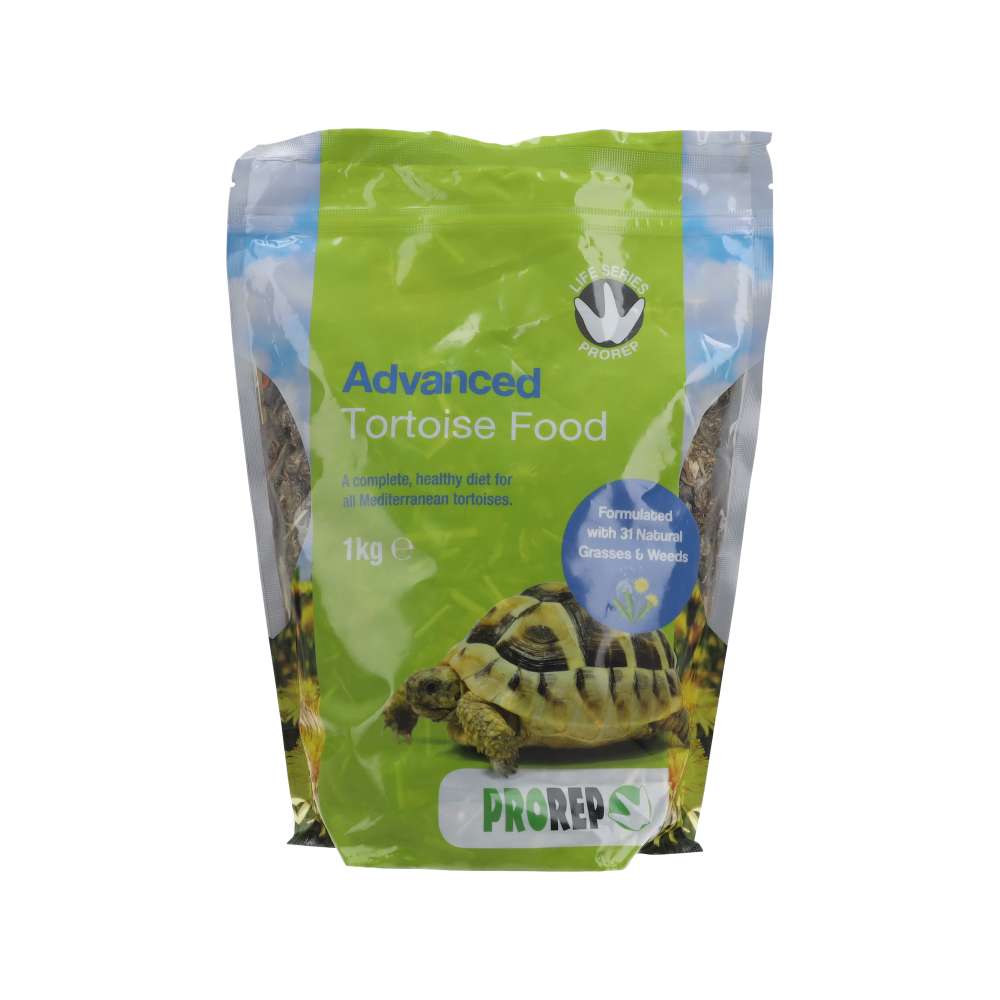 tortoise food