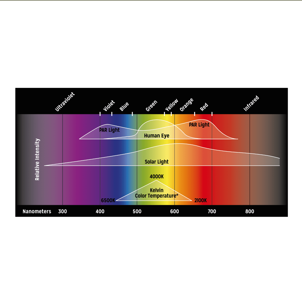 Reptile Systems Proten LED System - Image 4