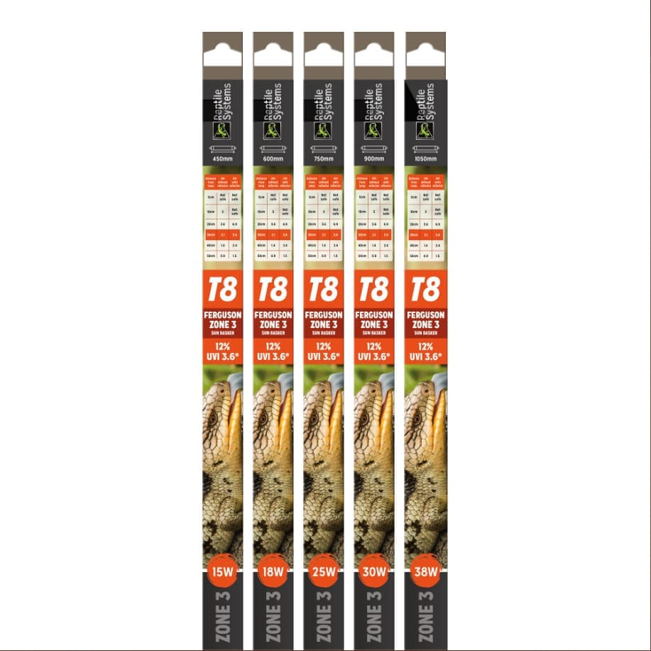 Reptile Systems Specialist T8 Zone 3