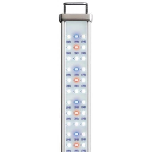 LED Lighting