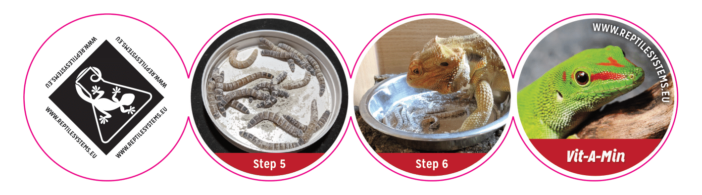 Reptile Systems Vit A Min - Image 4