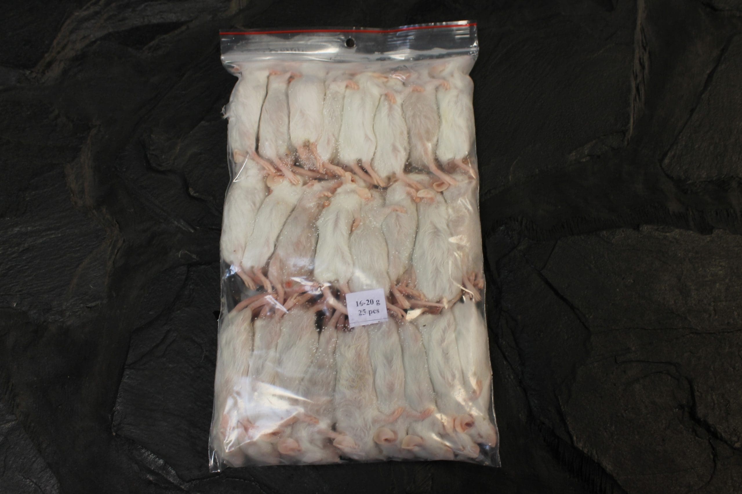 PLT Frozen Small/Medium Mice - 15g+ Pack of 10 - Image 2