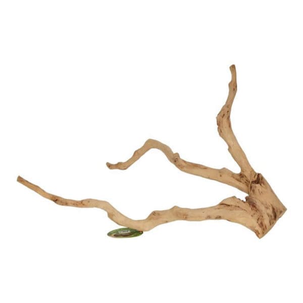 ProRep Tree Tree Branch