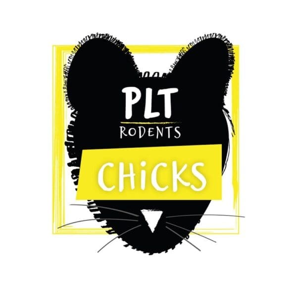PLT Frozen Chicks  - 2 Kg