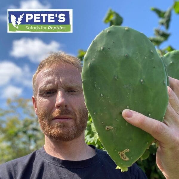 Pete's Prickly Pear Cactus Pads