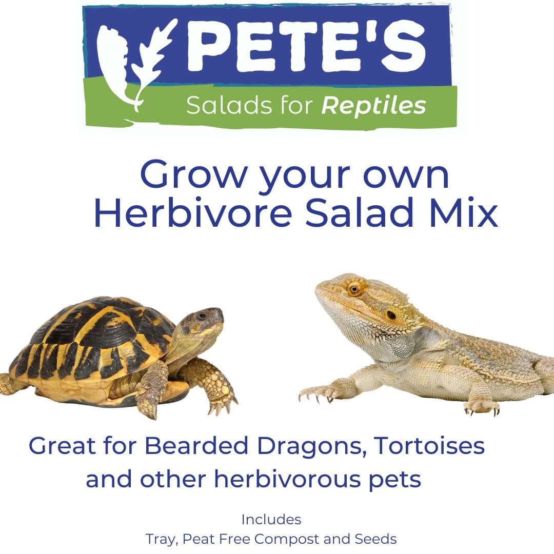 Pete's Grow Your Own Herbivore Salad Mix - Image 3
