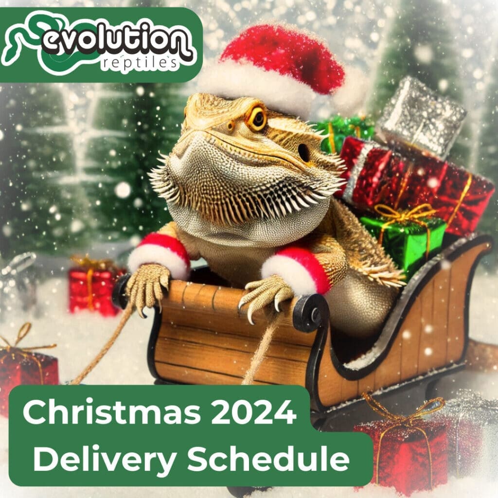 Christmas Delivery Schedule