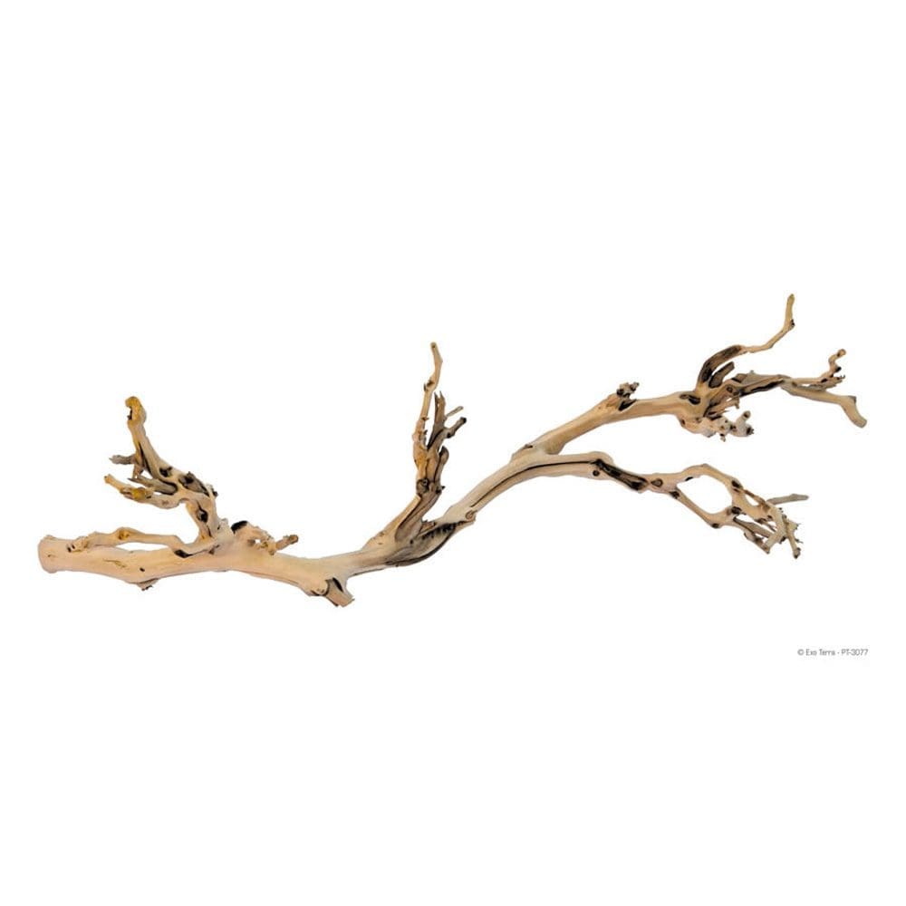 Exo Terra Forest Branch Large, PT3077