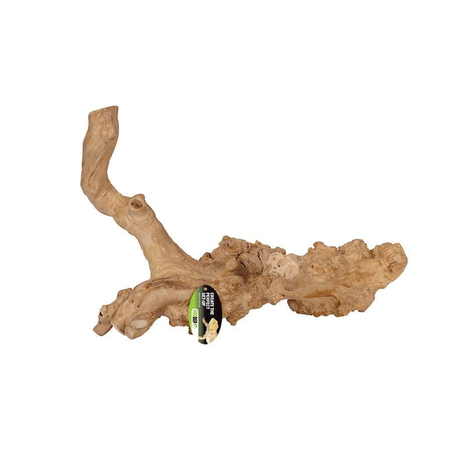 ProRep Jakarta Reptile Branch, Small - Image 2