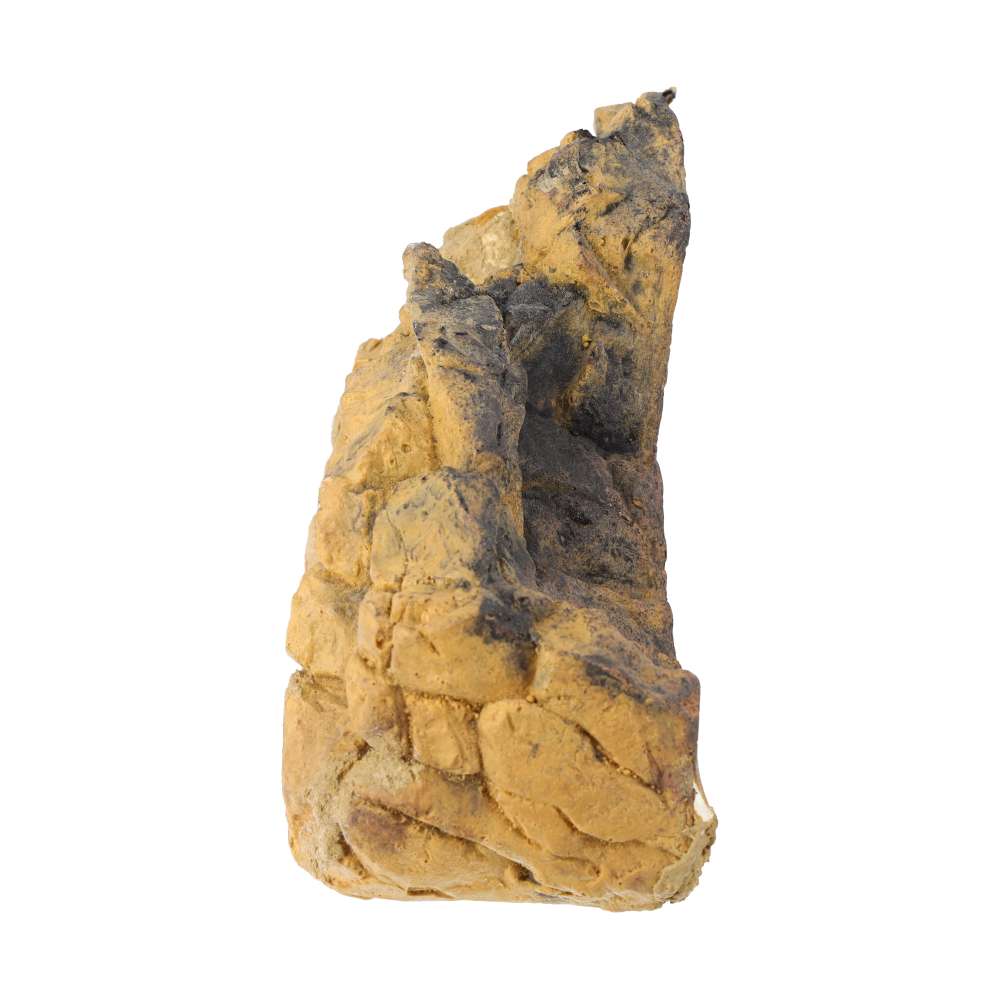 ProRep Reptile Ridge - Medium - Image 2