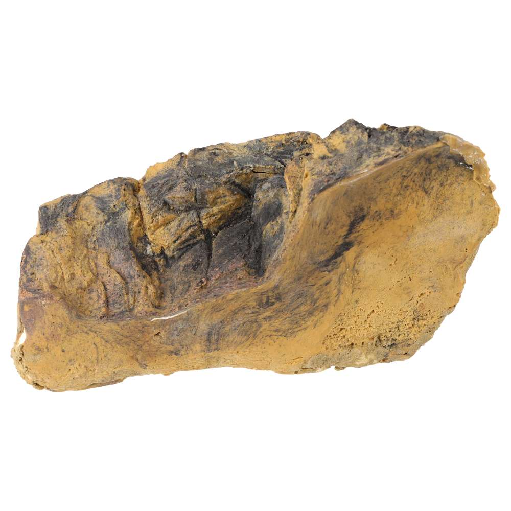 ProRep Reptile Ridge - Medium - Image 3