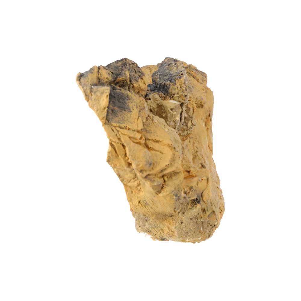 ProRep Reptile Ridge - Medium - Image 4