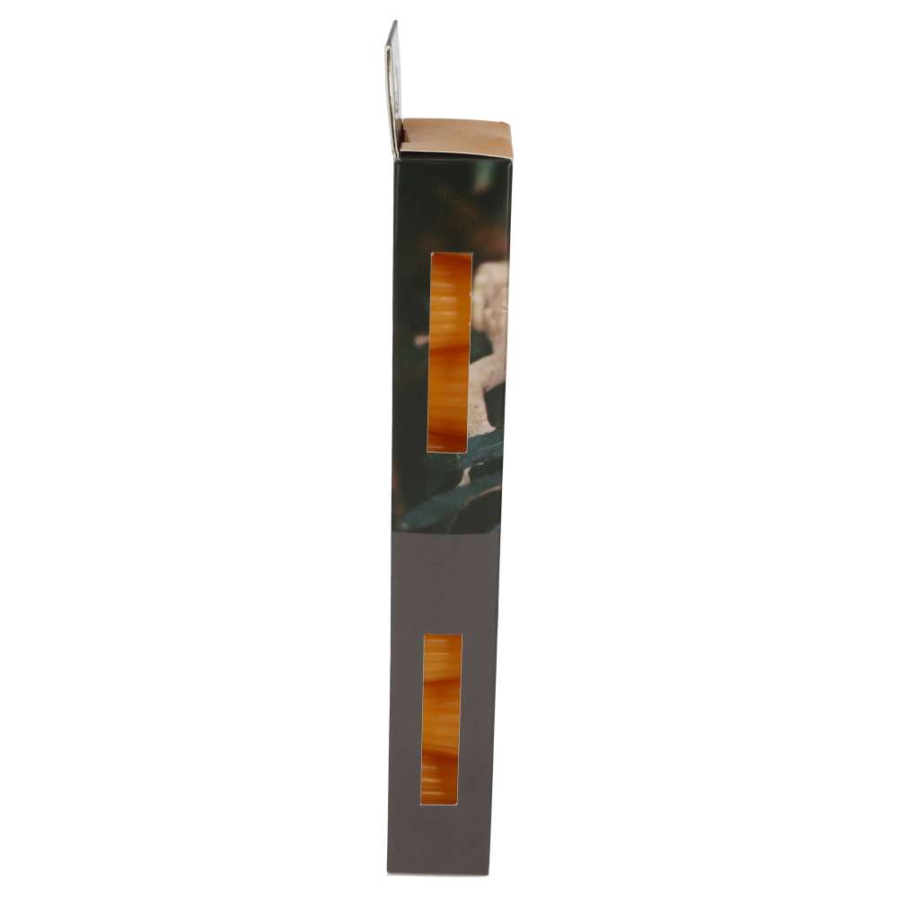 ProRep Jelly Pots, Mango - Image 4