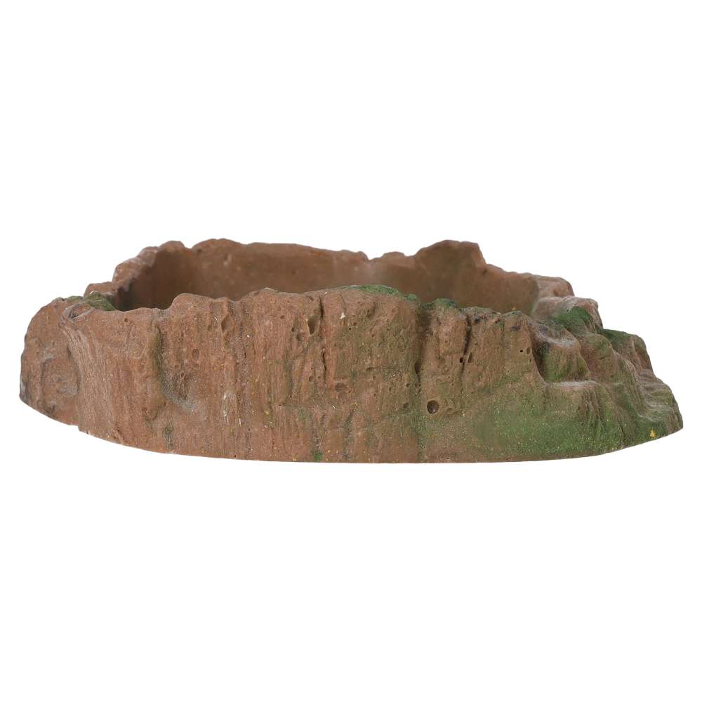 ProRep Terrarium Bowl Wood Large - Image 6