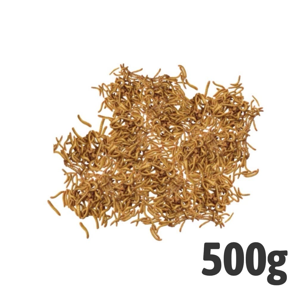 MIni Mealworms 500g