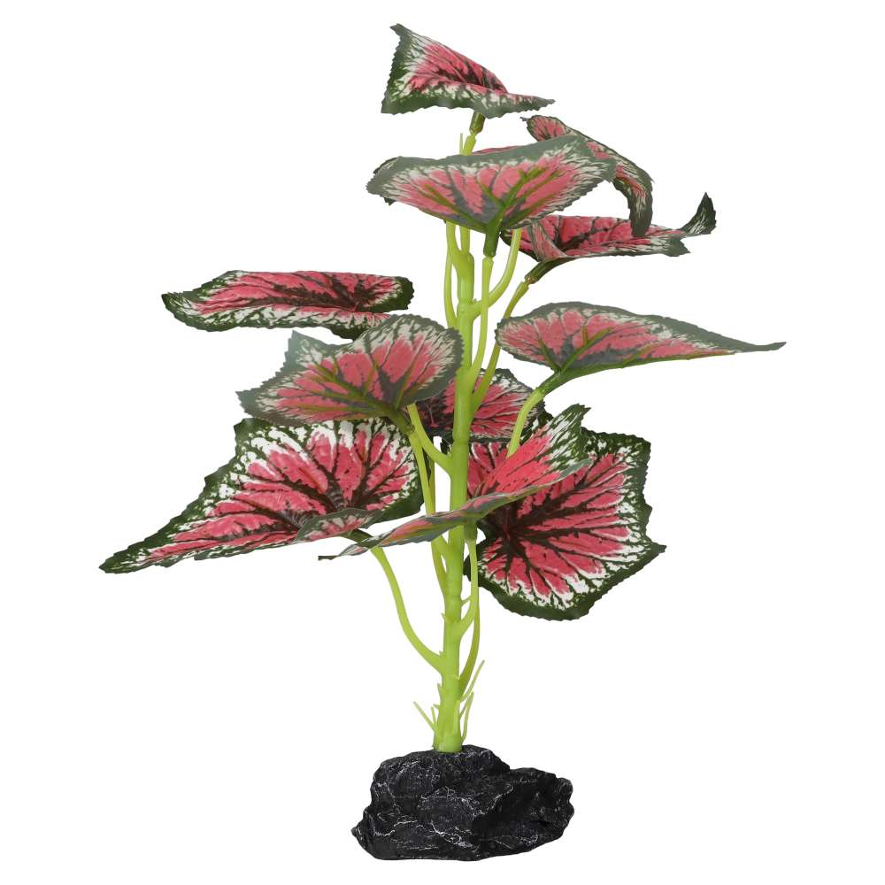 ProRep Terrestrial Begonia Salsa 27cm - Image 2