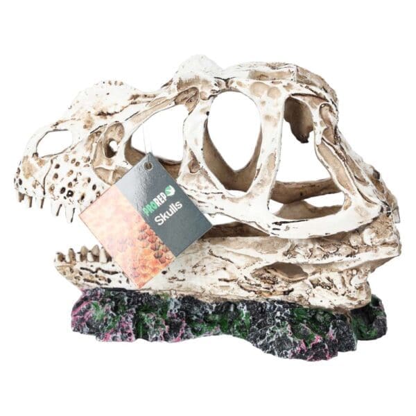 ProRep Ceratosuarus Skull 19x9x14cm DPS040