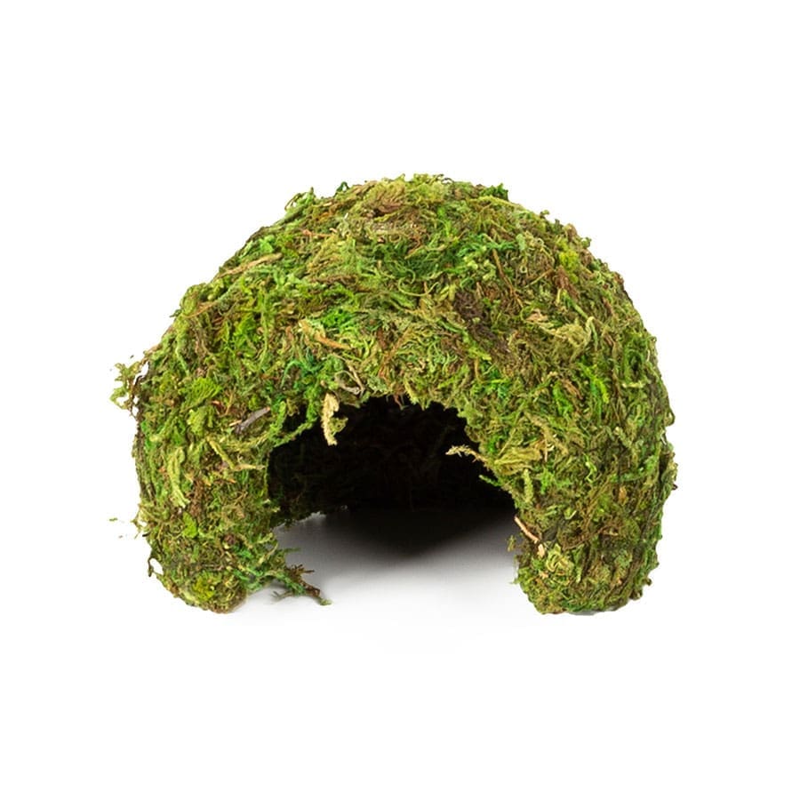 ReptiZoo Natural Moss Dome, Small, 11x11x9cm