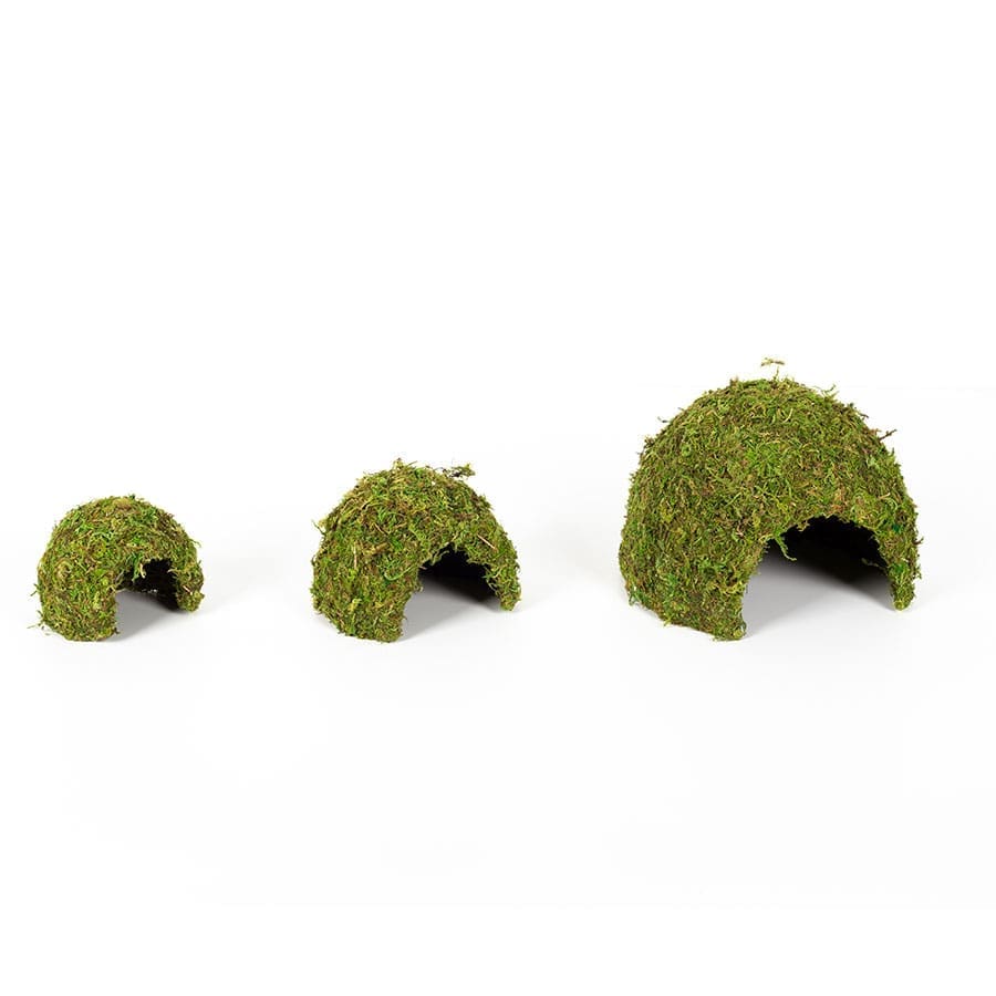 ReptiZoo Natural Moss Dome, Small, 11x11x9cm - Image 2