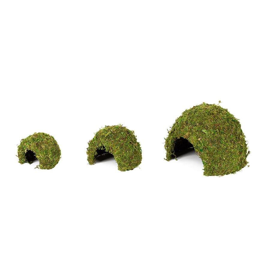 ReptiZoo Natural Moss Dome, Small, 11x11x9cm - Image 3