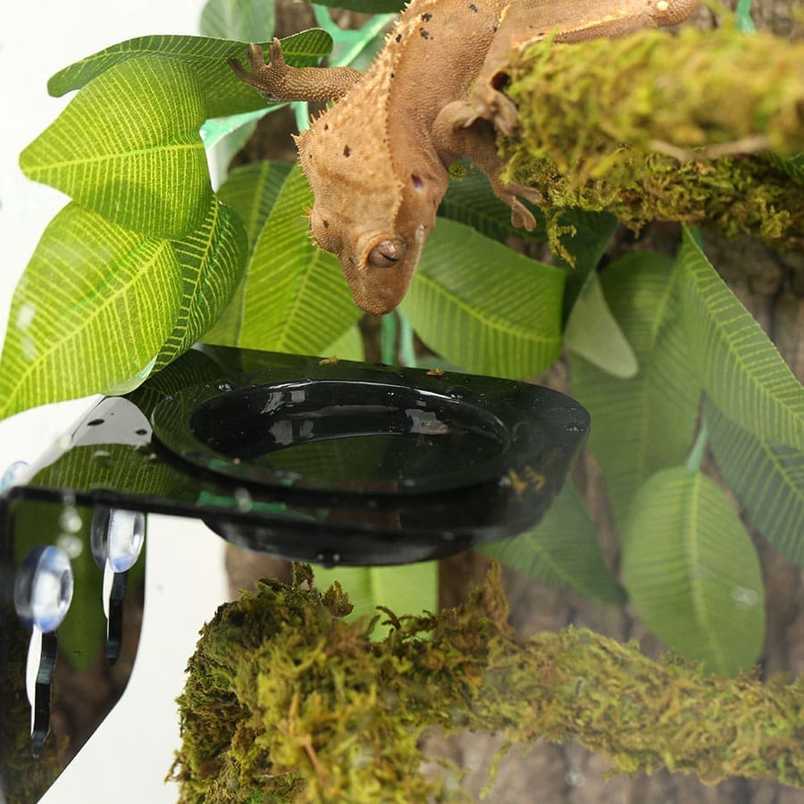 ReptiZoo Arboreal Feeder BLACK 8x8cm - Image 3