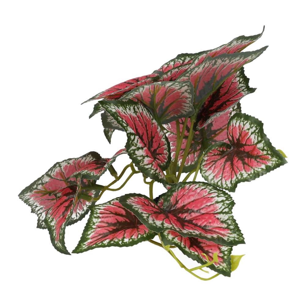 ProRep Terrestrial Begonia Salsa 14cm - Image 2