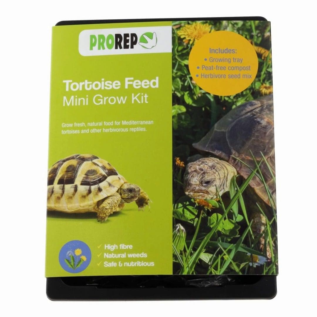 Tortoise feed grow kits