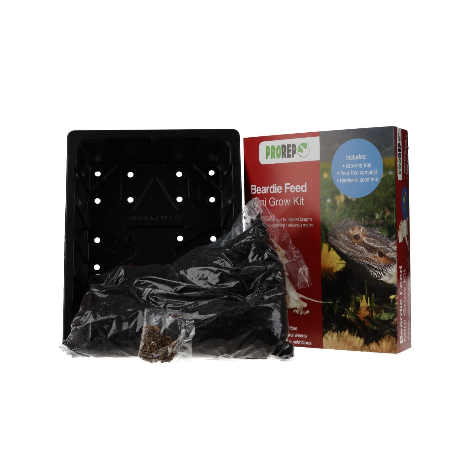 beardie grow kit