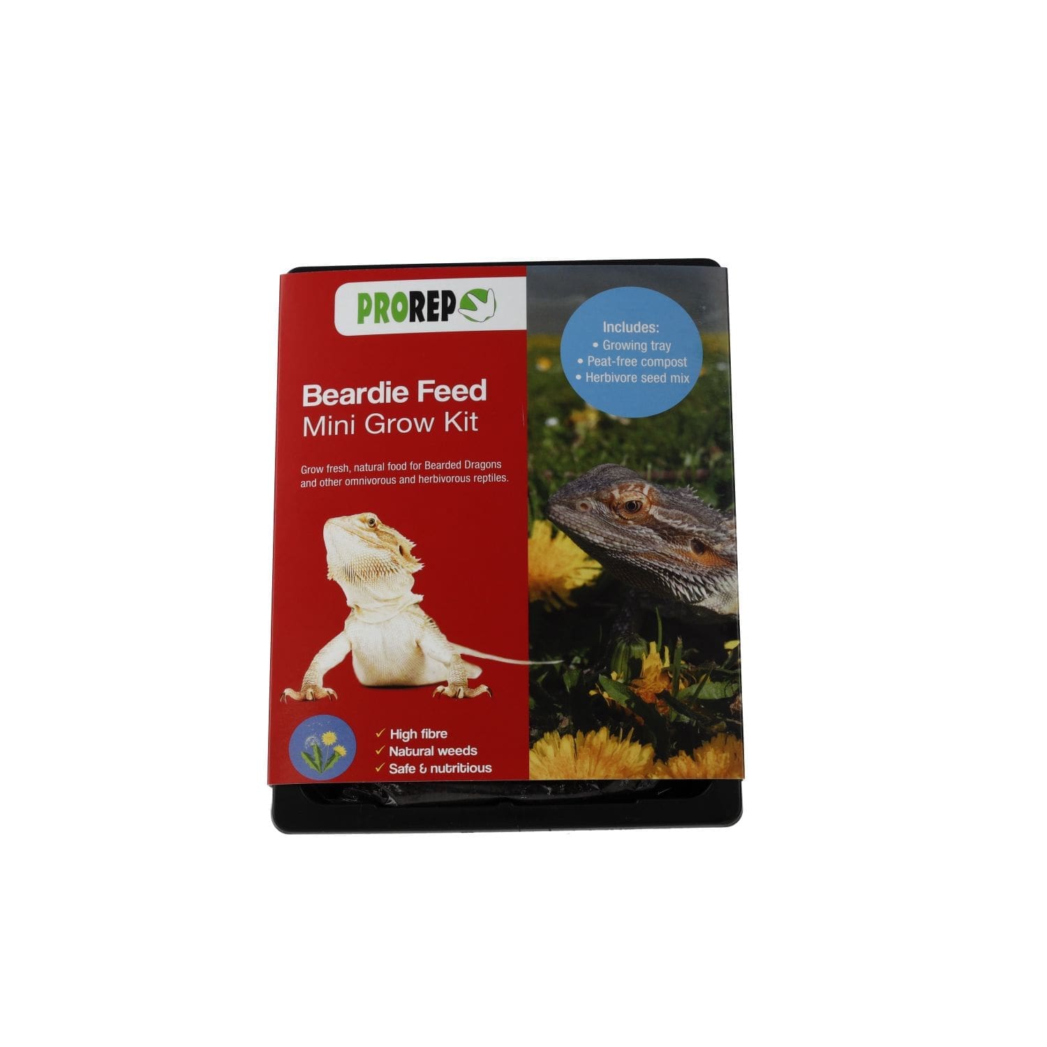 Bearded dragon mini grow kit